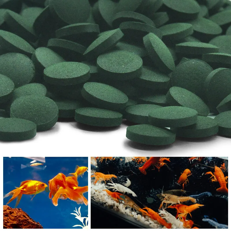 Spirulina Tablet Organic - 100pcs ความบริสุทธิ์สูงสาหร่ายเกลียวทองเม็ดเกลียวสาหร่าย Enrichment ที่ชื่นชอบสัตว์เลี้ยงอาหารปลาคริสตัลกุ้งสีแดงปลาอาหาร Aquarium