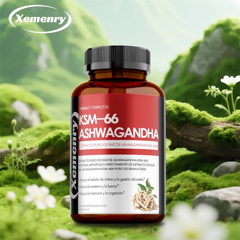 Ashwagandha Extract Root - แคปซูลสารสกัดจากรากอัชวกันดา KSM 66 - ช่วยปรับปรุงคุณภาพการนอนหลับ บรรเทาความเครียด