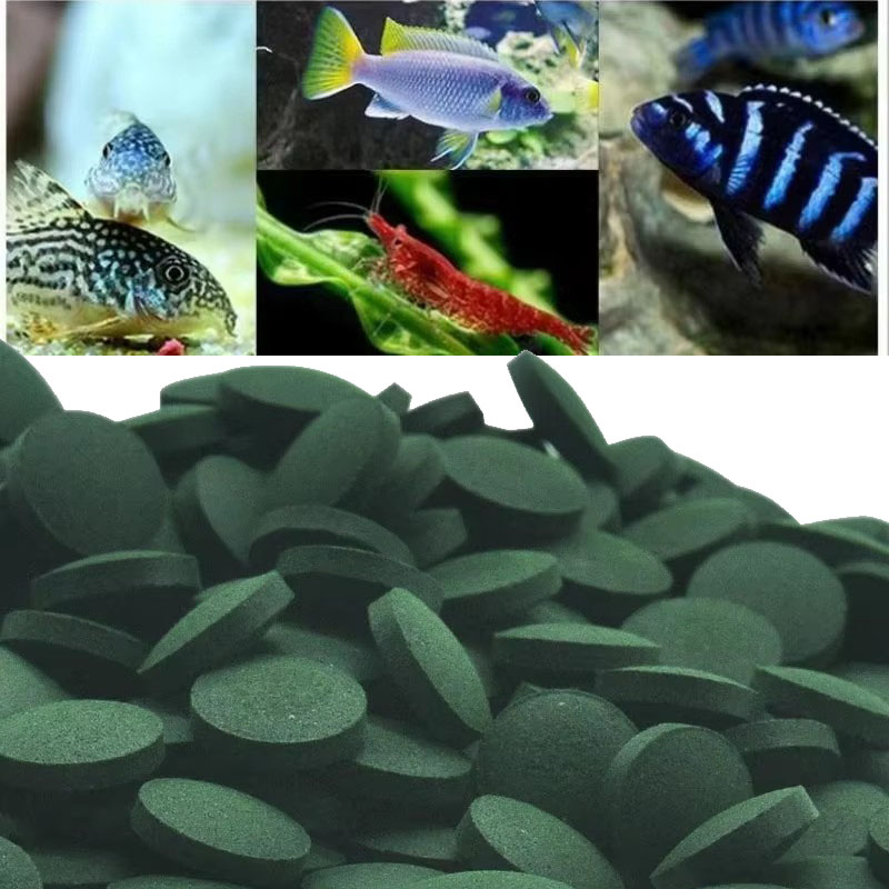 Spirulina Tablet Organic - เม็ดสาหร่ายสไปรูลิน่า 50/100/300/500 ชิ้น สาหร่ายสไปรัลเข้มข้น อาหารสัตว์เลี้ยงที่นิยม อาหารปลา