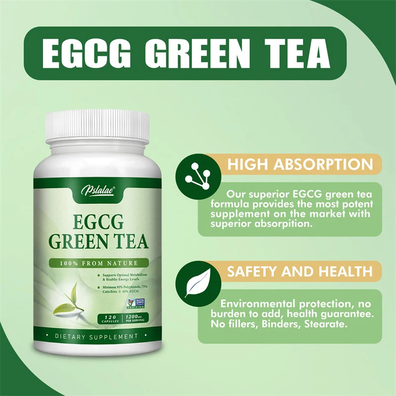 Green Tea Extract Fat - สารสกัดจากชาเขียว EGCG - เพิ่มการเผาผลาญและรองรับการเผาผลาญไขมันที่ดีต่อสุขภาพ เพิ่มพลังงาน และโฟกัสเสริม