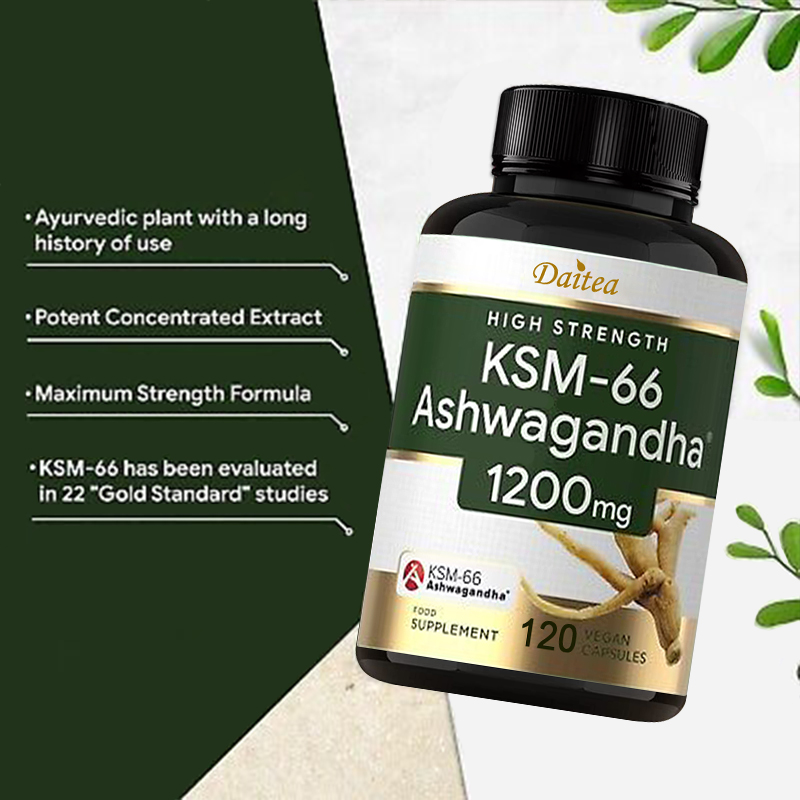 แคปซูลสารสกัดจาก ashwagandha-อ - Ashwagandha Extract Root บทวิจารณ์และราคา