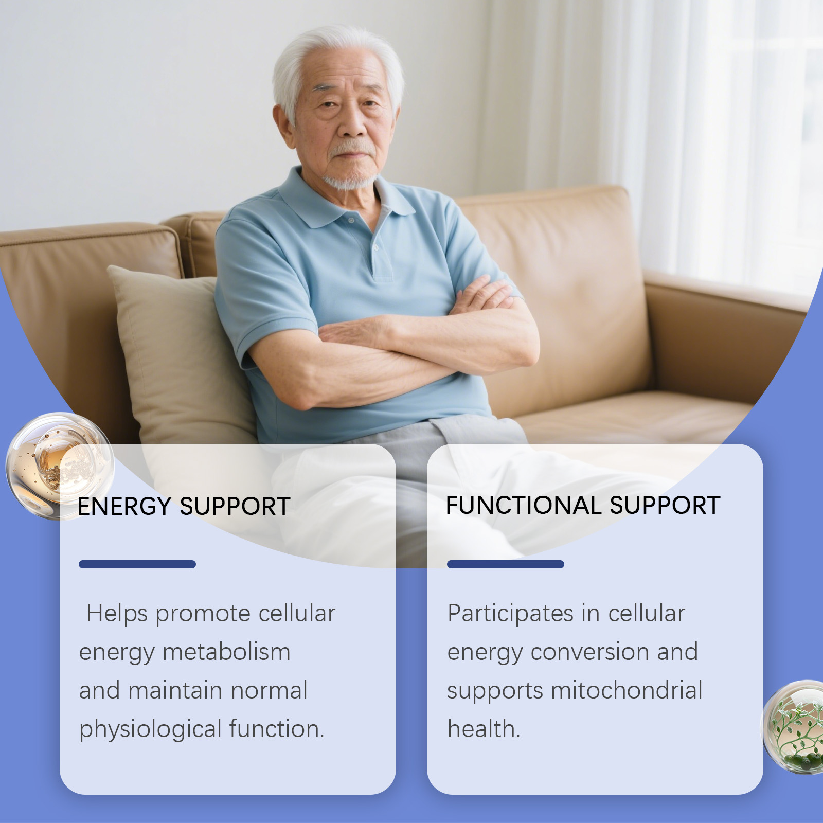 หยดเสริมพลังช่วยกระตุ้นการเผาผ - Nutrition For Health Fitness & Sport Melvin Williams บทวิจารณ์และราคา