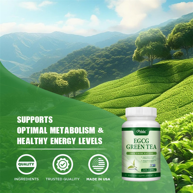 สารสกัดชาเขียว EGCG-ช่วยเพิ่มก - Green Tea Extract Fat บทวิจารณ์และราคา