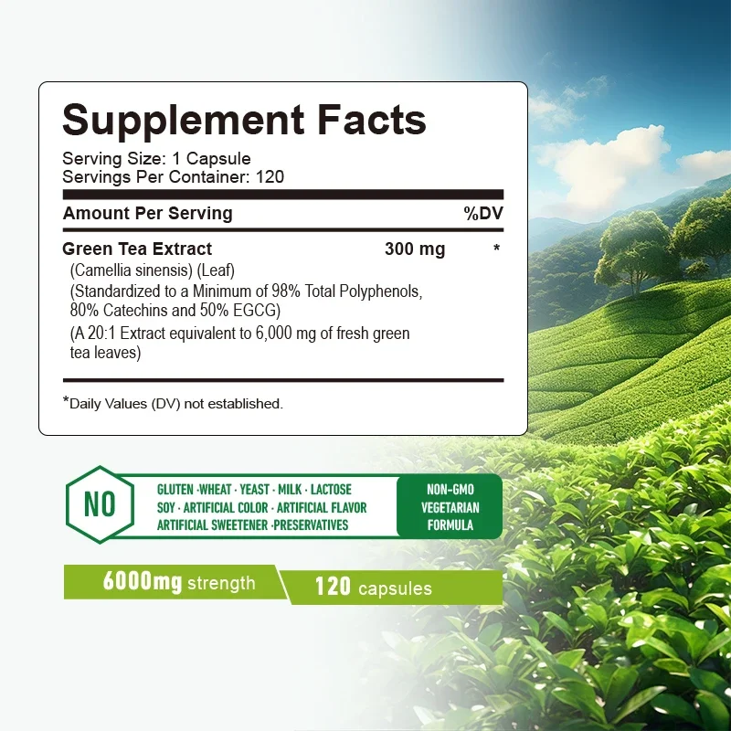 แคปซูลชาเขียว - ยาเผาผลาญไขมัน - Green Tea Extract Fat บทวิจารณ์และราคา