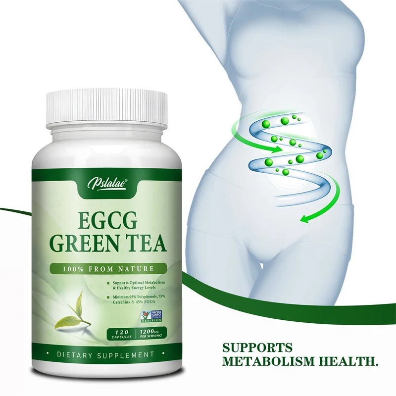สารสกัดจากชาเขียว EGCG - เพิ่ม - Green Tea Extract Fat บทวิจารณ์และราคา