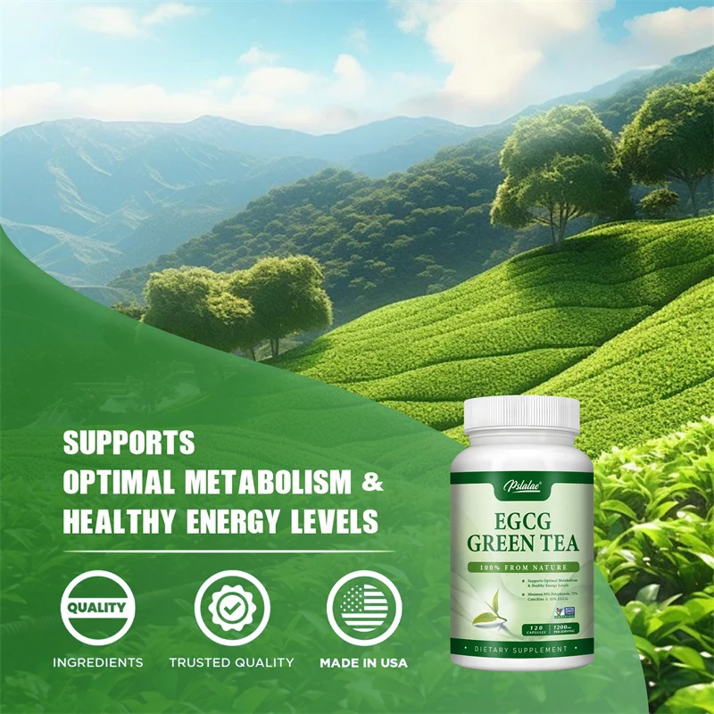 สารสกัดจากชาเขียว EGCG - เพิ่ม - Green Tea Extract Fat บทวิจารณ์และราคา